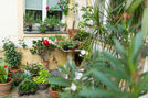 Wohnung - Berlin Prenzlauer Berg - Cotheniusstrasse 6