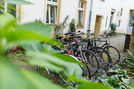 Wohnung - Berlin Prenzlauer Berg - Cotheniusstrasse 6