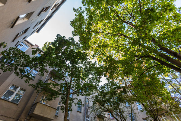 wohnung berlin pankow hadlichstrasse 30