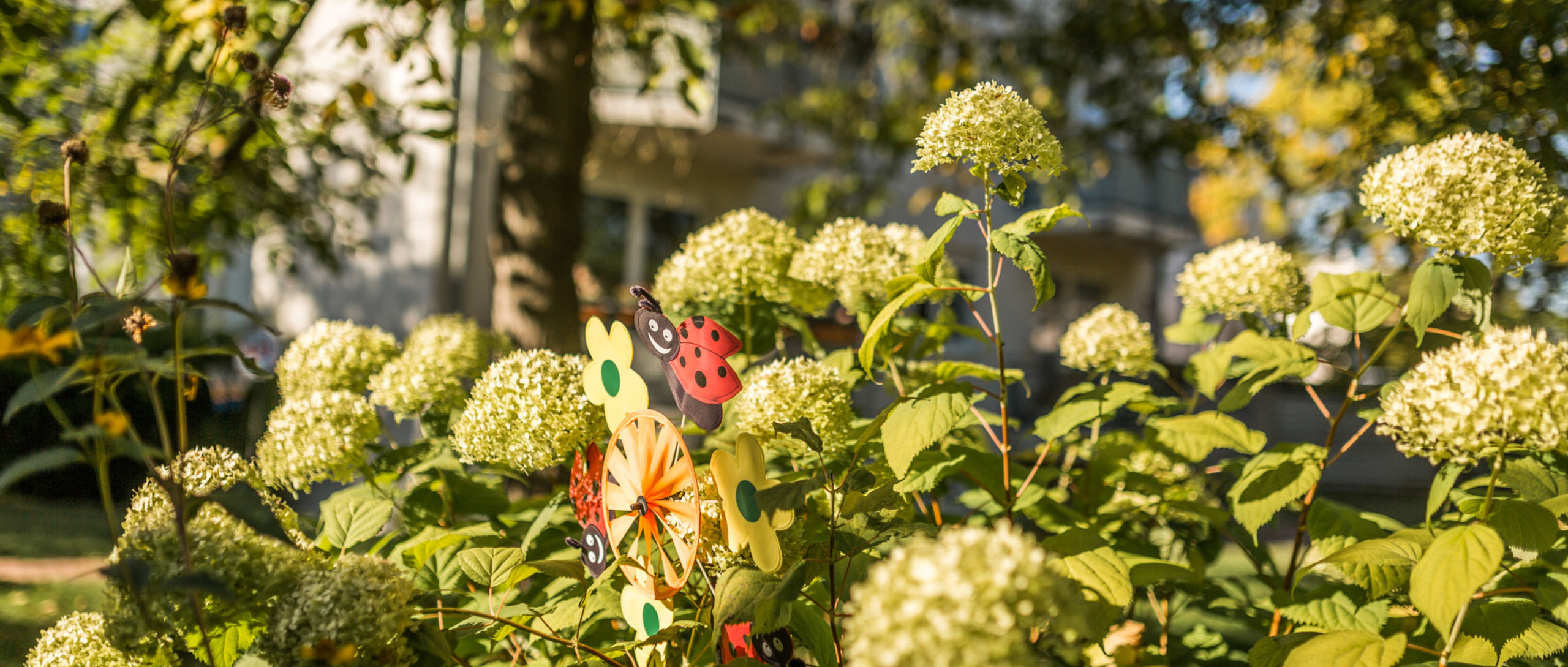 Wohnung - Berlin-Mahlsdorf - Hultschiner Damm 14-16