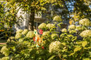 Wohnung - Berlin-Mahlsdorf - Hultschiner Damm 14-16 Wohnung - Berlin-Mahlsdorf - Hultschiner Damm 14-16